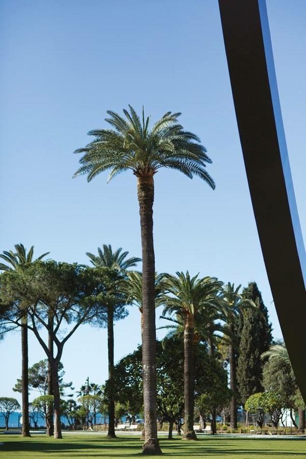 Apartmán Le Prefecture - Luxueux F3 En Duplex, Ascenseur, Coeur Vieux-Nice Exteriér fotografie